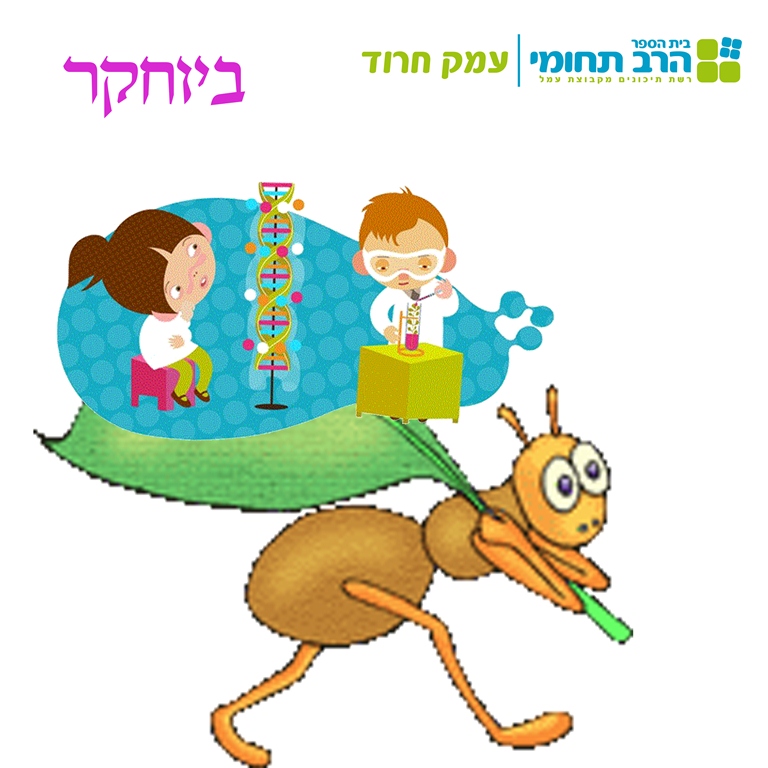 לוגו לויקי.jpg
