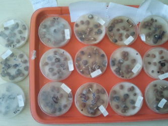 2012-10-22 11.05.47.jpg