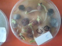 2012-10-24 15.50.04.jpg