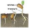 תמונה ממוזערת לגרסה מתאריך 15:54, 9 בדצמבר 2011