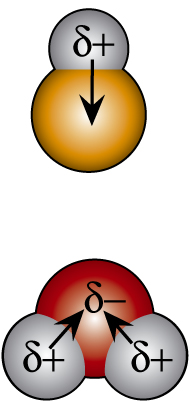 קובץ:B-46.jpg