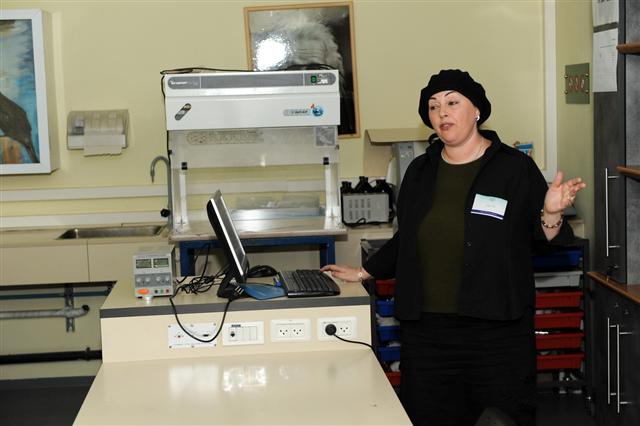 קובץ:Kenes 8.jpg