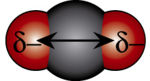 מולקולה בעלת צורה קוית
