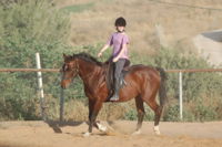 םדי על הסוס מאי 2012 022.jpg