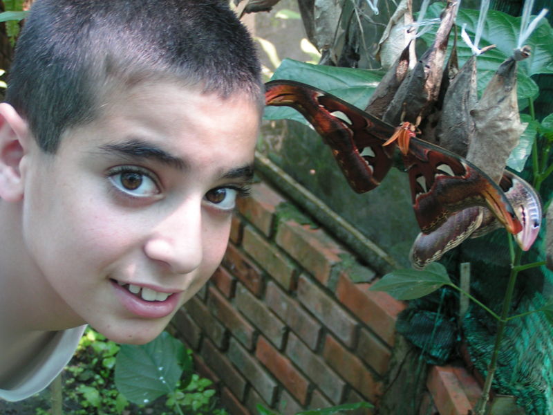 קובץ:PICT0110.JPG